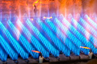 Headley Heath gas fired boilers